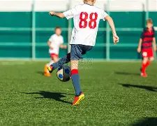 林允与女友,同住,携手爱宠搬,JBO竞博,JBO竞博官网,JBO竞博官网玩家首选