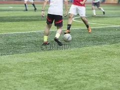 泰山与广州,城握手言和,莱昂纳多破,JBO竞博,JBO竞博官网,JBO竞博官网玩家首选