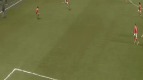 11月8日NBA月度最佳球员榜单揭晓